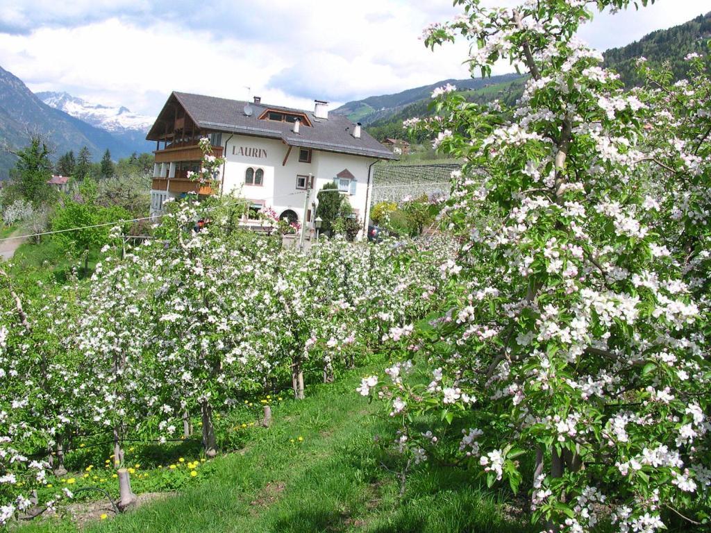 Pension Laurin Schenna Exteriér fotografie