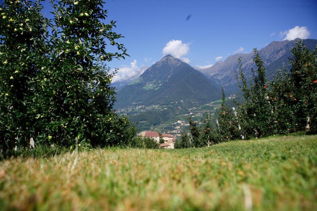 Pension Laurin Schenna Exteriér fotografie